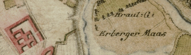 Donauprallhang und Stadtwildnis